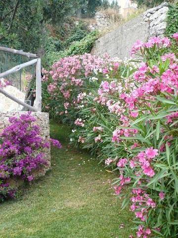 Agriturismo voor 4 Personen in Finale Ligure Gemeente, Ligurische Alpen, Afbeelding 3