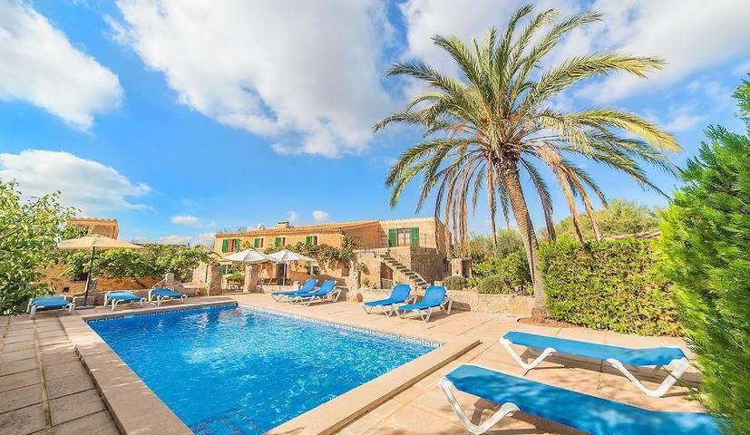 Large pool finca Olivera near Cas Concos Mallorca in Felanitx, South Majorca