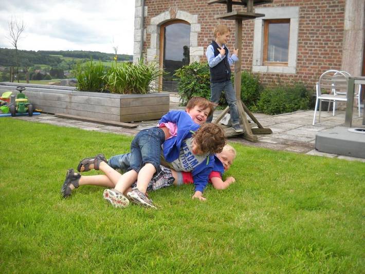 Location de vacances pour 14 personnes, avec sauna ainsi que vue et jardin, animaux acceptés à Limbourg - 3
