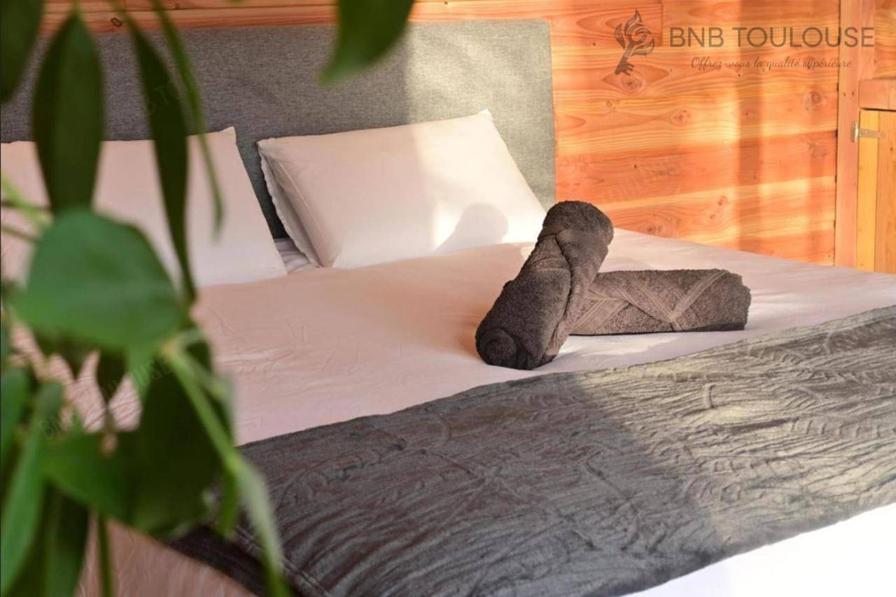 Appartement entier, One-Bedroom Apartment in Castelginest, Toulouse et ses environs