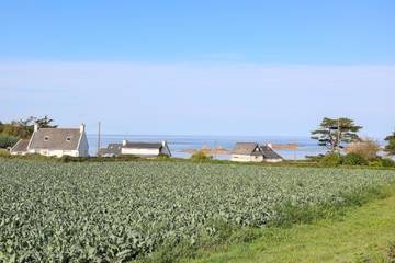 Location de vacances pour 12 personnes, avec jardin à Pleubian