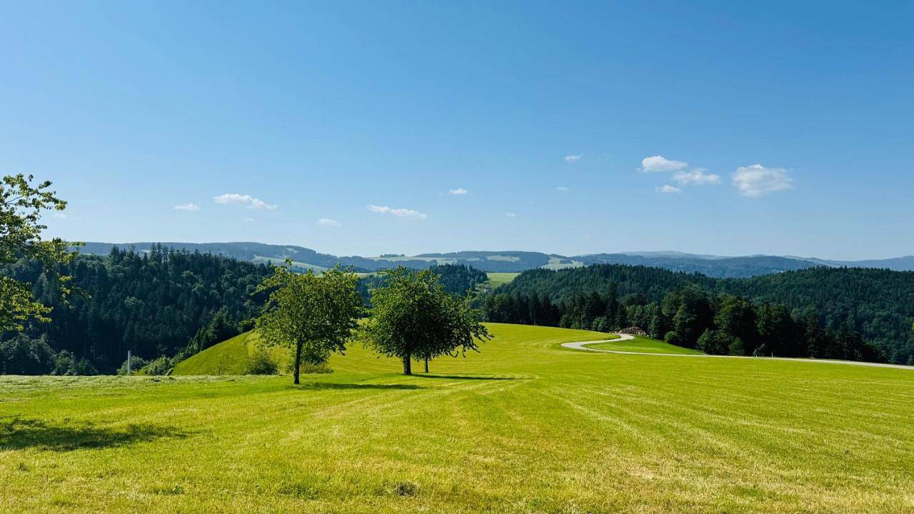 Stieler Häusle - Ferienhaus mit Garten und Weitblick in Sankt Märgen, St. Märgen