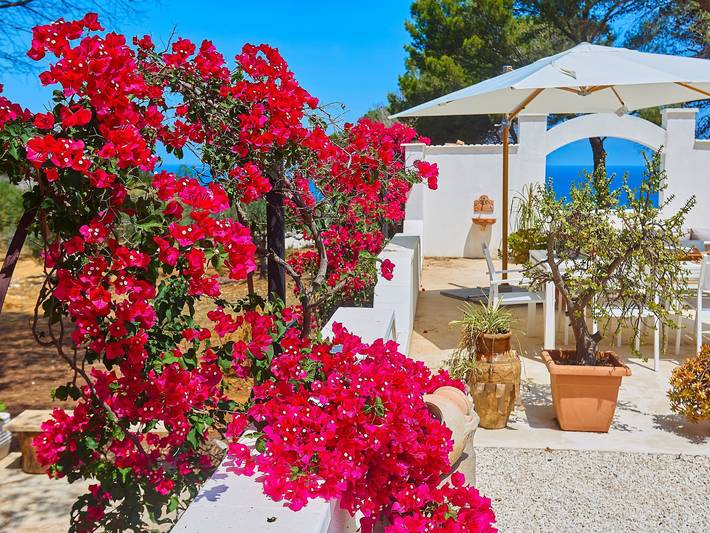 Location de vacances pour 6 personnes, avec jardin à Alcamo Marina - 3