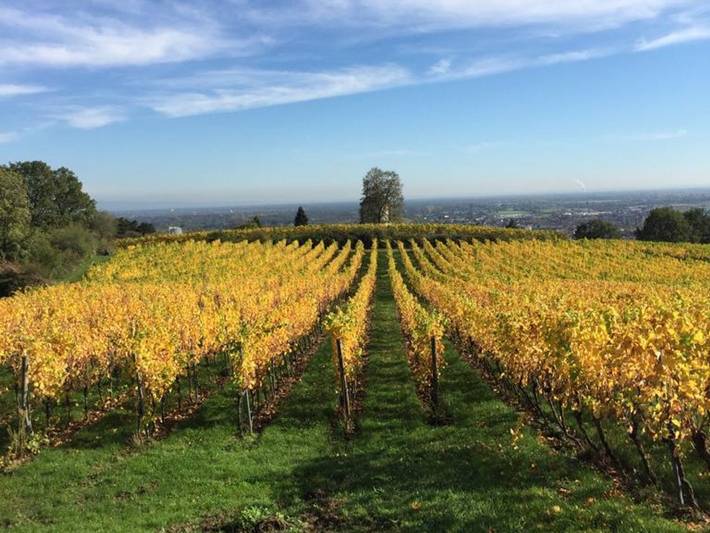 Ferienwohnung für 2 Personen, mit Terrasse in Neustadt an der Weinstraße - 4