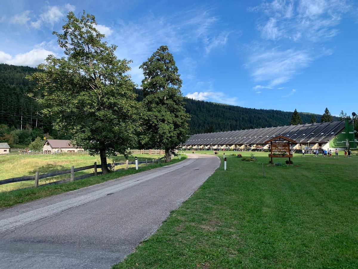 Ganze Wohnung, One-Bedroom Apartment in Lavarone, Alpe Cimbra