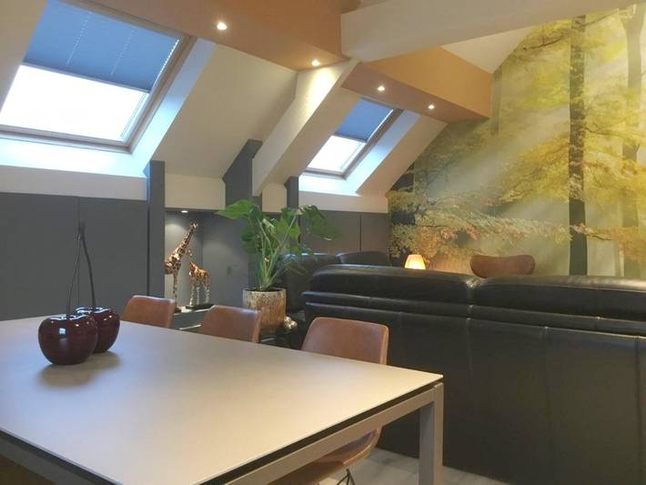 Maison de vacances pour 10 personnes, avec Balcon et Terrasse ainsi que Jardin et Vue à Geraardsbergen