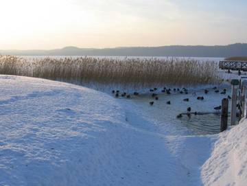 Ferienwohnung für 3 Personen in Binz, Rügen, Bild 4