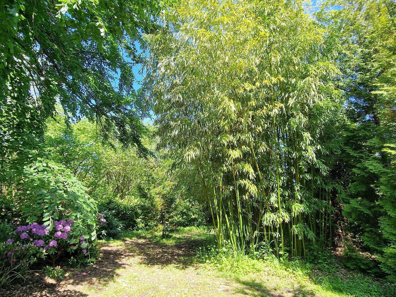 Accoglienza presso la baia di Koge -- By Traum Ferienwohnungen in Stroby, Stevns e dintorni