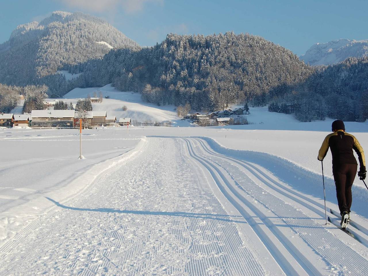Ganze Ferienwohnung, Appartements Christine - Einzel- oder kleines Doppelzimmer in Bezau, Bregenzerwald