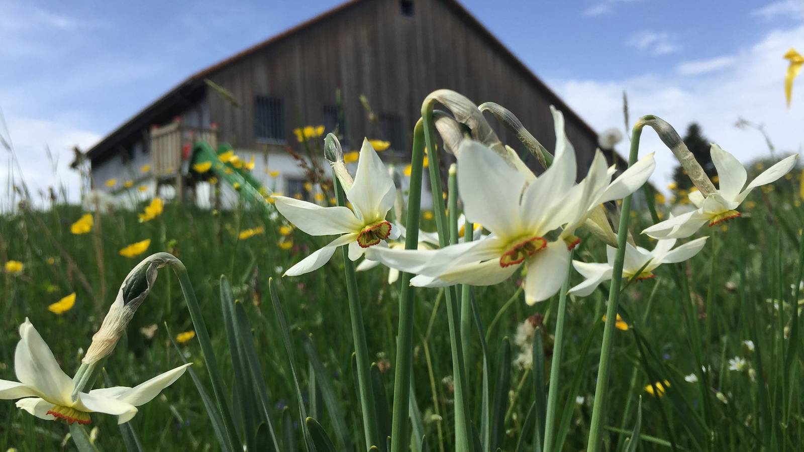 Ganze Ferienwohnung, Brasel - 3.5 Zimmerwohnung in La Brévine, Jura & Drei-Seen-Land