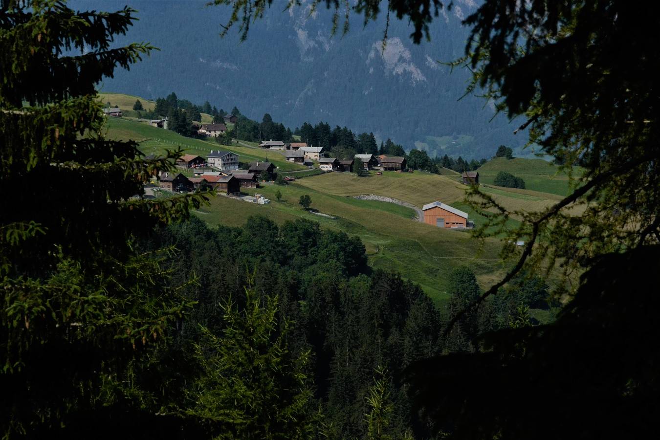 Appartamento intero, Ferienwohnung Hof Beeli - appartamento a 5 letti in Tschappina, Reno Posteriore