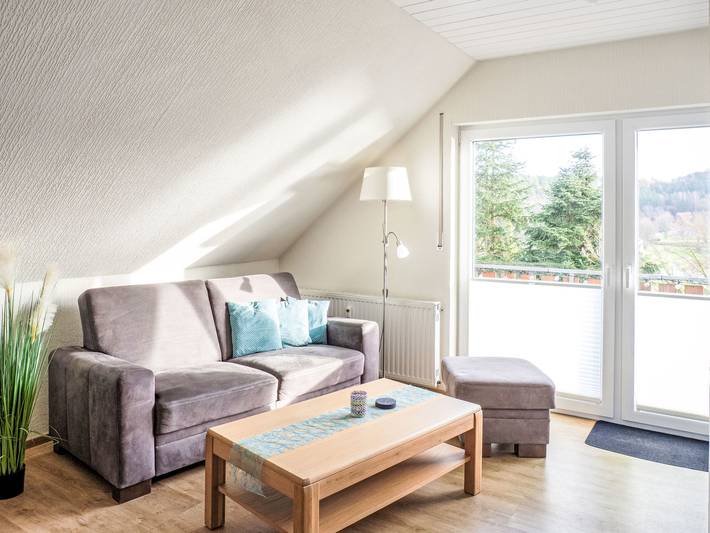 Entire apartment, Fewo Hoppenhof 1 in Bad Arolsen, Twistesee