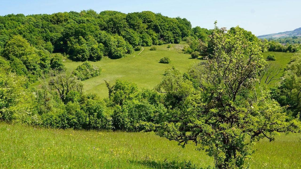Ganze Ferienwohnung, Ferienwohnung für 6 Personen (80 m²) in Gersheim in Gersheim, Saarpfalz-Kreis