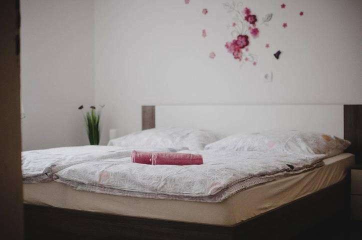 Gîte pour 6 personnes, avec jardin et vue, animaux acceptés à Tolmin - 3