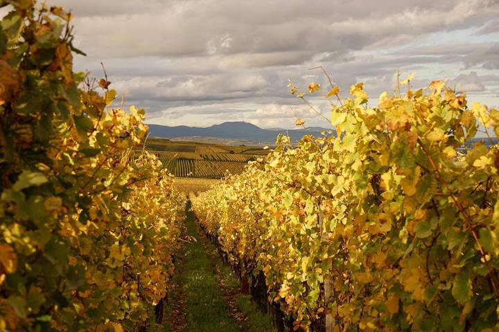 Chambre d’hôte pour 2 personnes, avec jardin dans Grand Est - 2