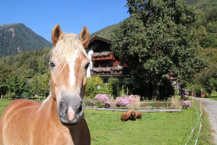 Ferienwohnung für 7 Personen, mit Balkon und Garten sowie Ausblick in Lieser-Maltatal