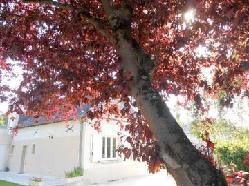 Gîte pour 4 personnes, avec vue et jardin à Saint-Clément-des-Levées