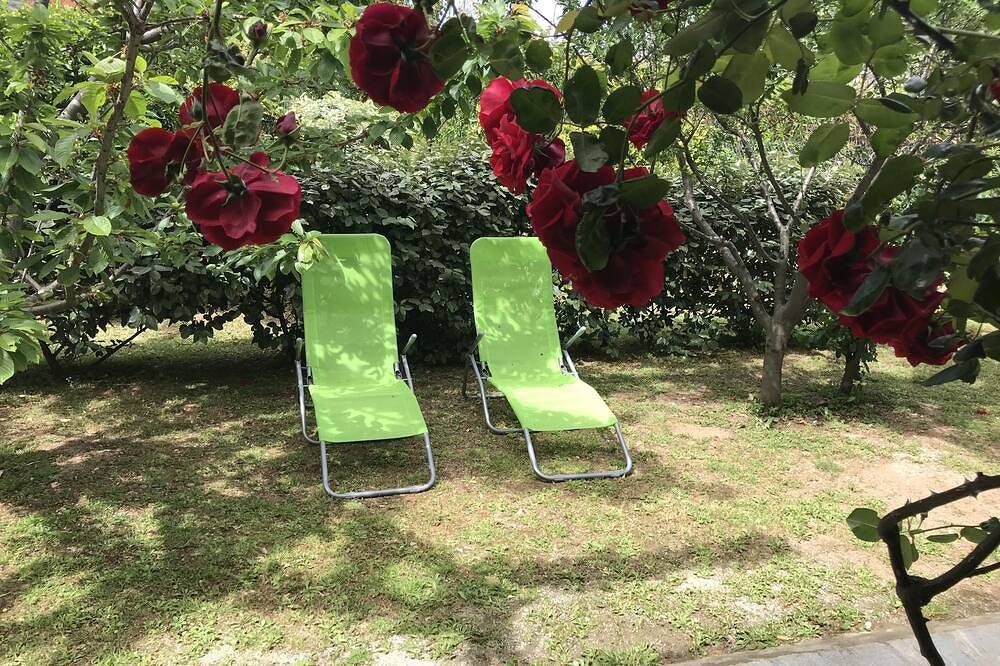 Ganze Wohnung, \"Le verger\": Schöne 1-Zimmer-Wohnung (60 m²), ruhig, nahe dem Zentrum und den Stränden in Macinaggio, Rogliano