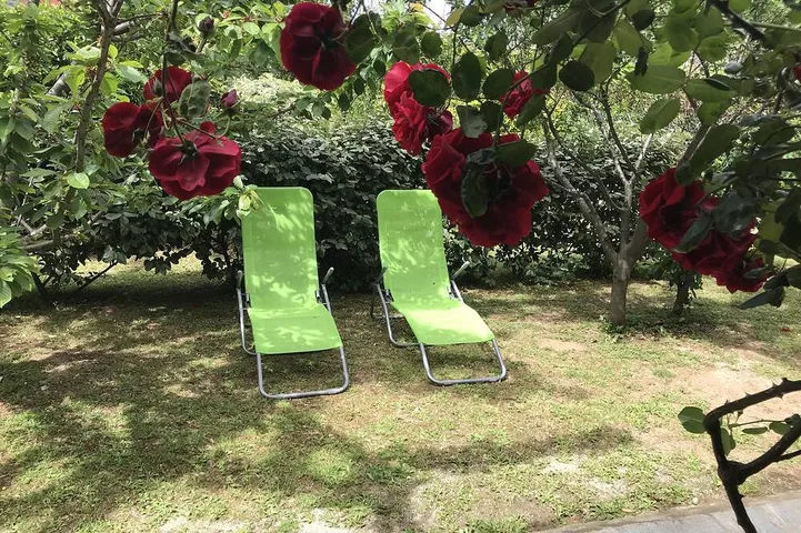 Appartement de vacances pour 4 personnes, avec terrasse et jardin - 1