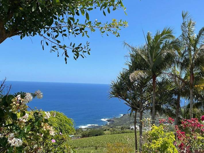 Chambre d’hôte pour 4 personnes, avec jardin ainsi que terrasse et vue dans Piton de la Fournaise - 2