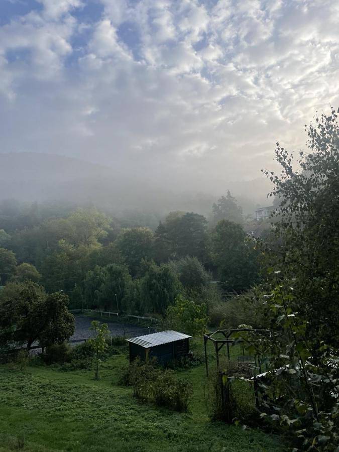 Ferienwohnung für 4 Personen, mit Terrasse und Garten in Bad Wildungen