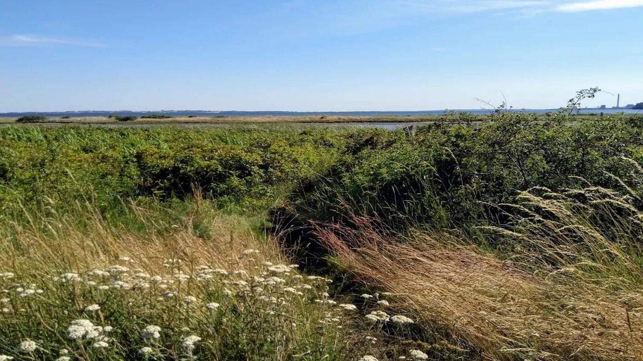 Ferienhaus für 10 Personen (125 m²) in Rønde in Følle Strand, Djursland