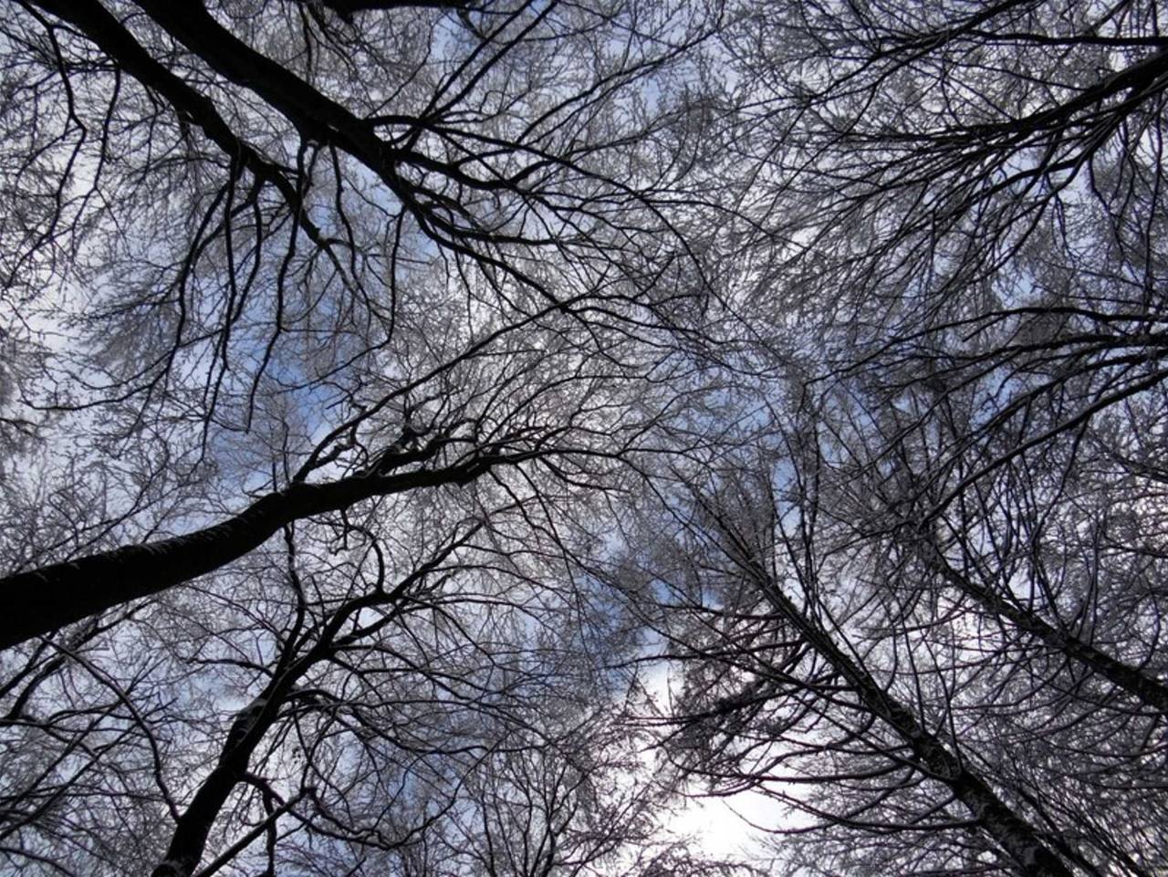 Ganze Ferienwohnung, Land Fewo am Teich- Reet gedeckt/Ostseenah /bei Binz - Ferienwohnung in Pantow, Zirkow