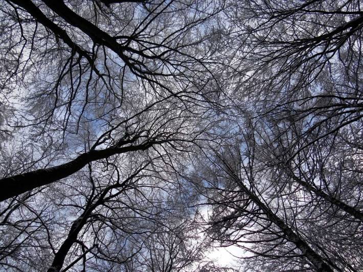 Ferienwohnung für 3 Personen, mit Terrasse und Garten sowie Ausblick in Zirkow - 3
