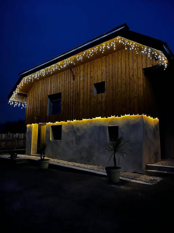 Gîte pour 12 personnes, avec jardin et vue dans La Biolle - 2