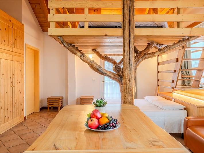 Ferienwohnung für 8 Personen, mit Terrasse, mit Haustier im Trentino