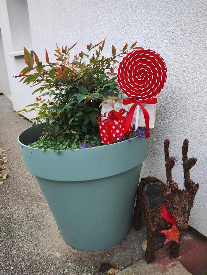 Gîte pour 4 personnes, avec vue ainsi que jardin et piscine à Rosheim - 2