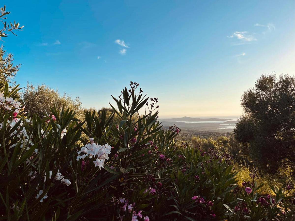 Villa Pacio in Costa Smeralda