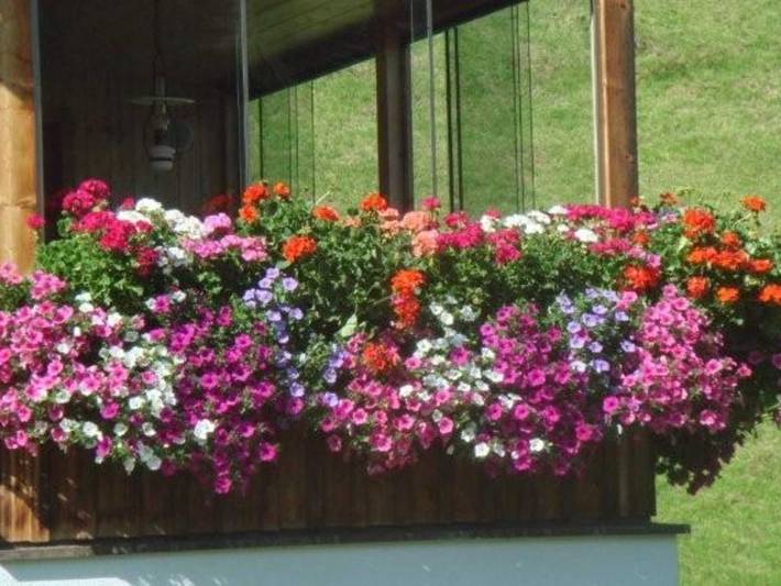 Ferienwohnung für 6 Personen, mit Terrasse und Garten in Schoppernau - 2
