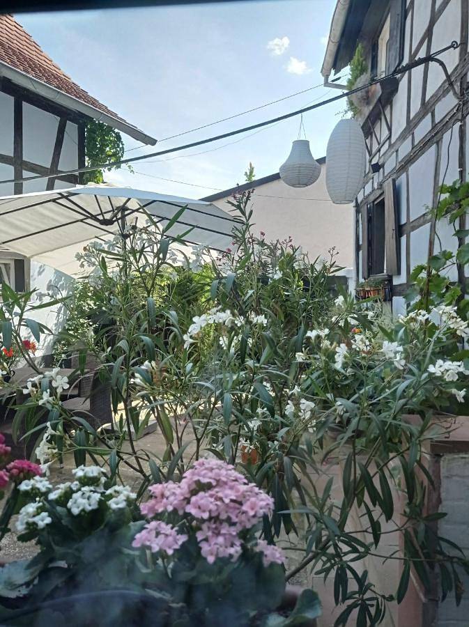 Gîte pour 2 personnes, avec jardin et jacuzzi à Schiltigheim - 3