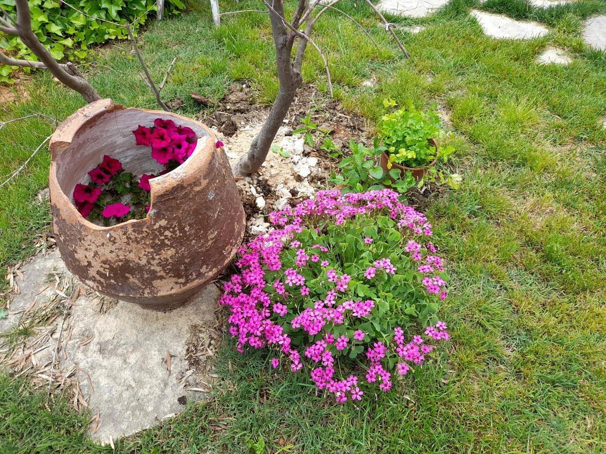 Casa Blanca in Alhama de Aragón, Provincia de Zaragoza