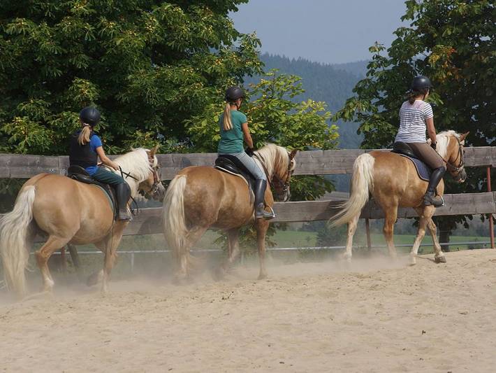 Bauernhof für 4 Personen, mit Garten, mit Haustier in Ostthüringen - 4