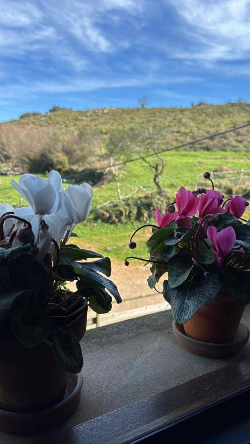 Casa de vacaciones para 6 personas, con Terraza y Vistas en Comarca de Santander - 4