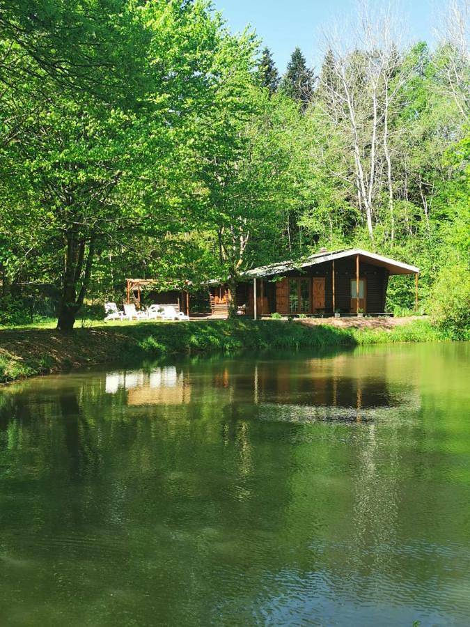 Chalet pour 6 personnes, avec Terrasse et Jardin ainsi que Vue sur le lac et Vue