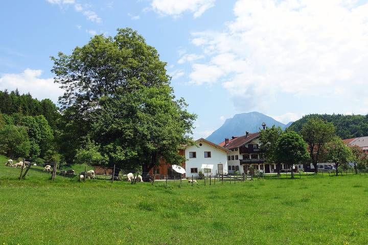 Bauernhof für 6 Personen, mit Terrasse