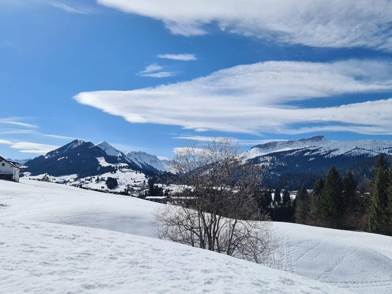 Ganze Ferienwohnung, Gästehaus Fuchsegge - Familie Müller - Walmendingerhorn Nr. 1 - 2 Schlafräume in Riezlern, Mittelberg