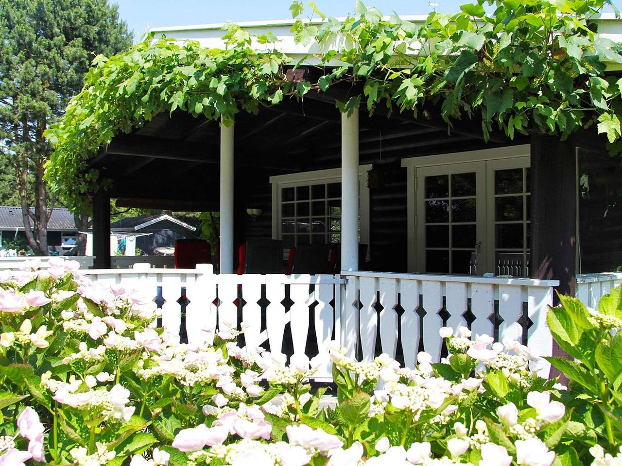 Meeresruhe in Skadshoved in Skødshoved, Knebel