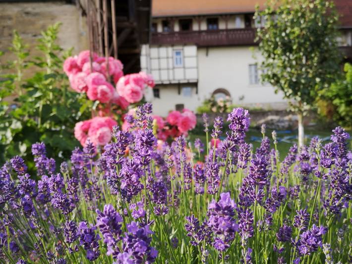 Ganze Ferienwohnung, Altes Standesamt Weißensee - Ferienwohnung, 100qm, 2 Schlafzimmer, max. 5 Erwachsene + 1 Kind in Thüringer Kernland