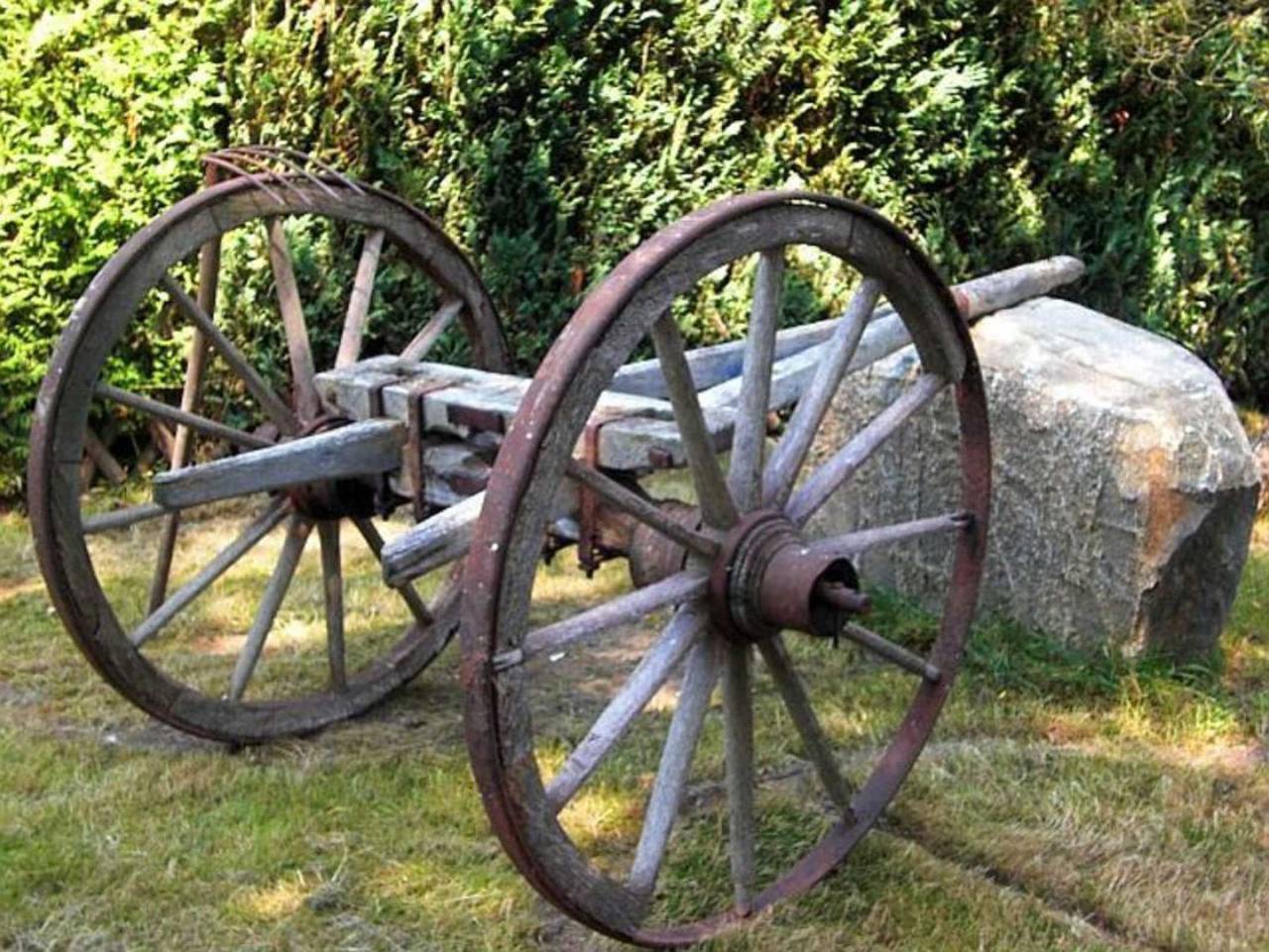 Ganze Ferienwohnung, Rügen Fewo 119 - Fewo 1 in Groß Schoritz, Garz/Rügen