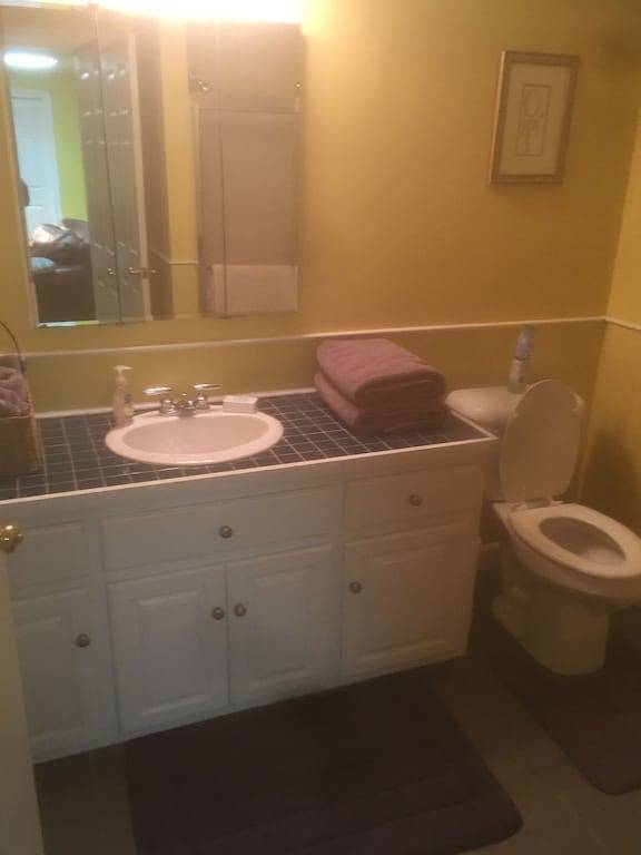 Brick Ground Floor Suite, 12 min to Liberty Univ. in Lynchburg, Virginia