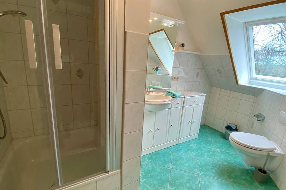 Ganze Wohnung, Bauernhof  Ostsee Schlei 8 Pers. Fewo Kinder Ponys Ziegen Hühner, ab 2 Nächte in Stoltebüll, Kappeln & Umgebung