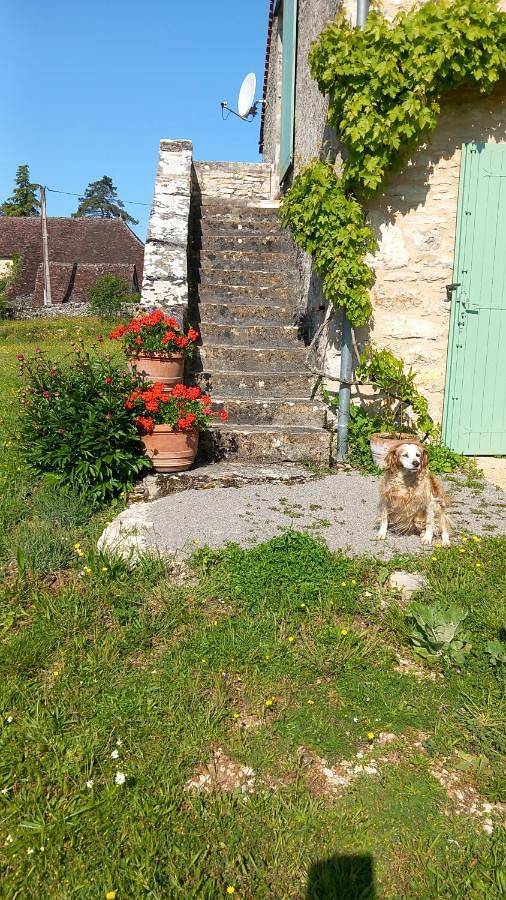 Location de vacances pour 4 personnes, avec terrasse à Montvalent - 2