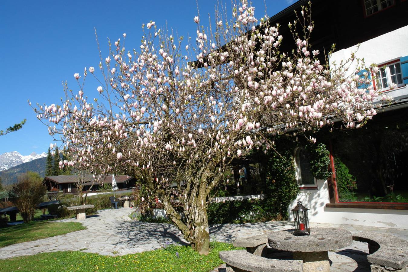 Hotel a Watzmann a partire da 300€ a notte