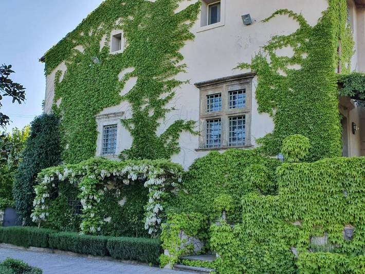 Gîte pour 2 personnes, avec piscine ainsi que jardin et vue à Vignanello - 3
