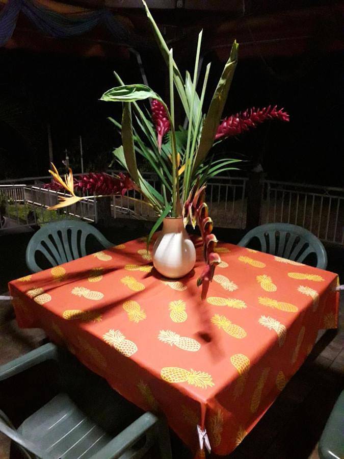 Gîte pour 3 personnes, avec terrasse en Guadeloupe