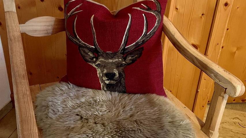 Appartement voor 4 personen, met terras in Schruns